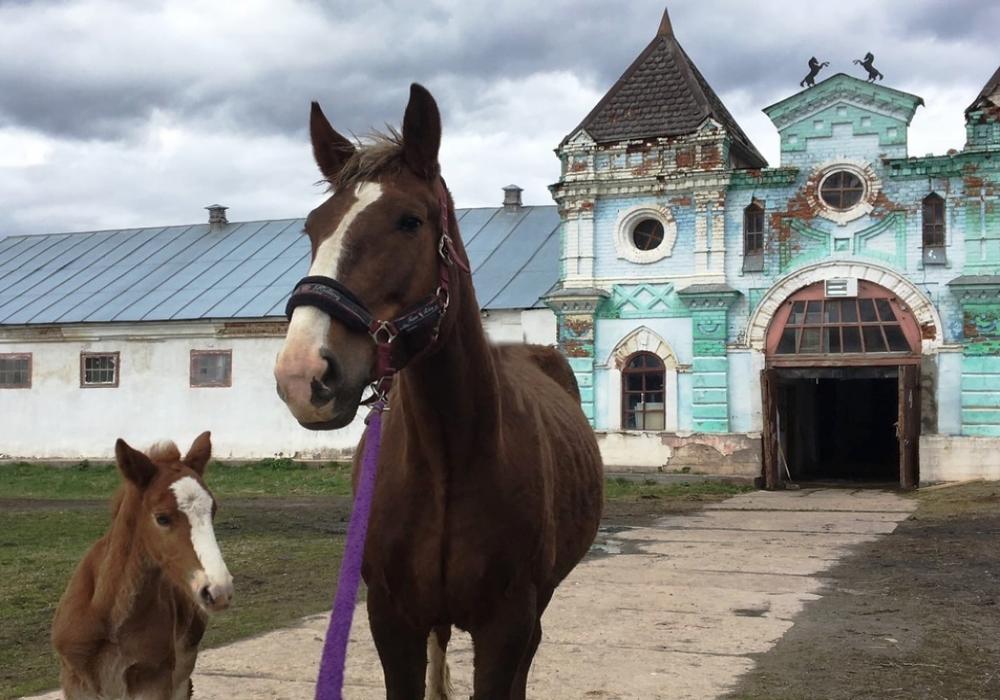 Регион оказывает поддержку в формировании туристического кластера в Сусанинском районе