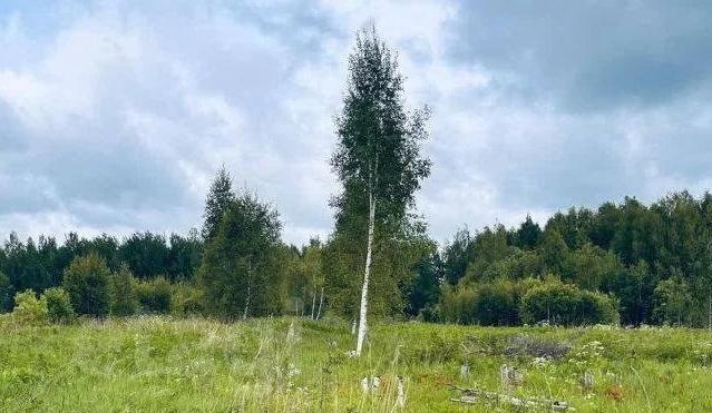 Обломки БПЛА у деревни Алеево опасности не представляют