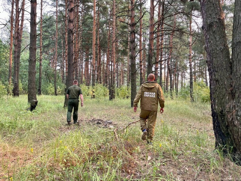 В Костромской области прогнозируется высокая пожароопасность