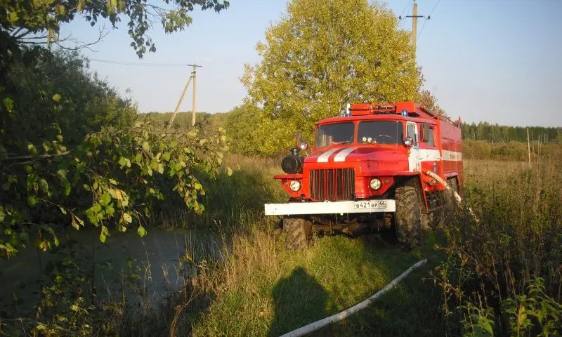 В Шарьинском районе приступили к тушению лесного пожара